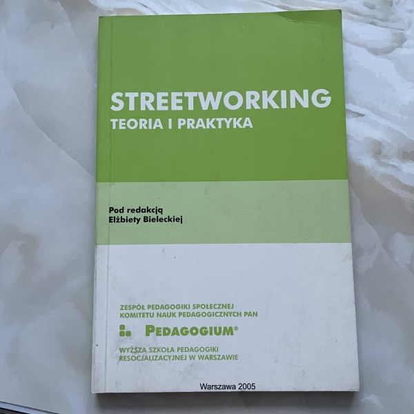 Streetworking. Teoria i praktyka - Elżbieta Bielecka