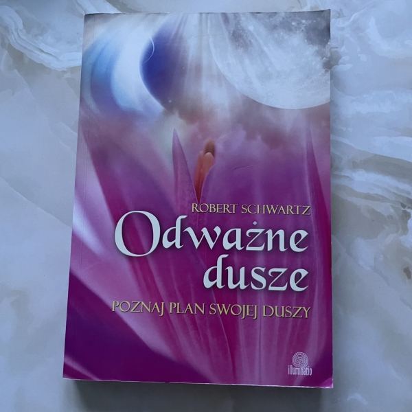 Odważne dusze. Poznaj plan swojej duszy - Robert Schwartz