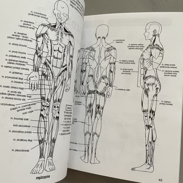 Jak powstaje manga. Vademecum młodego rysownika. Tom 8. Anatomia