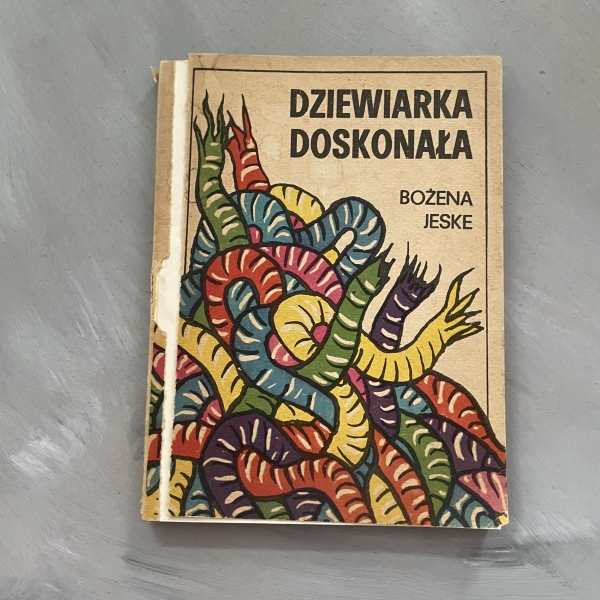 Dziewiarka doskonała - Bożena Jeske