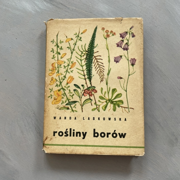 Rośliny borów - Wanda Laskowska